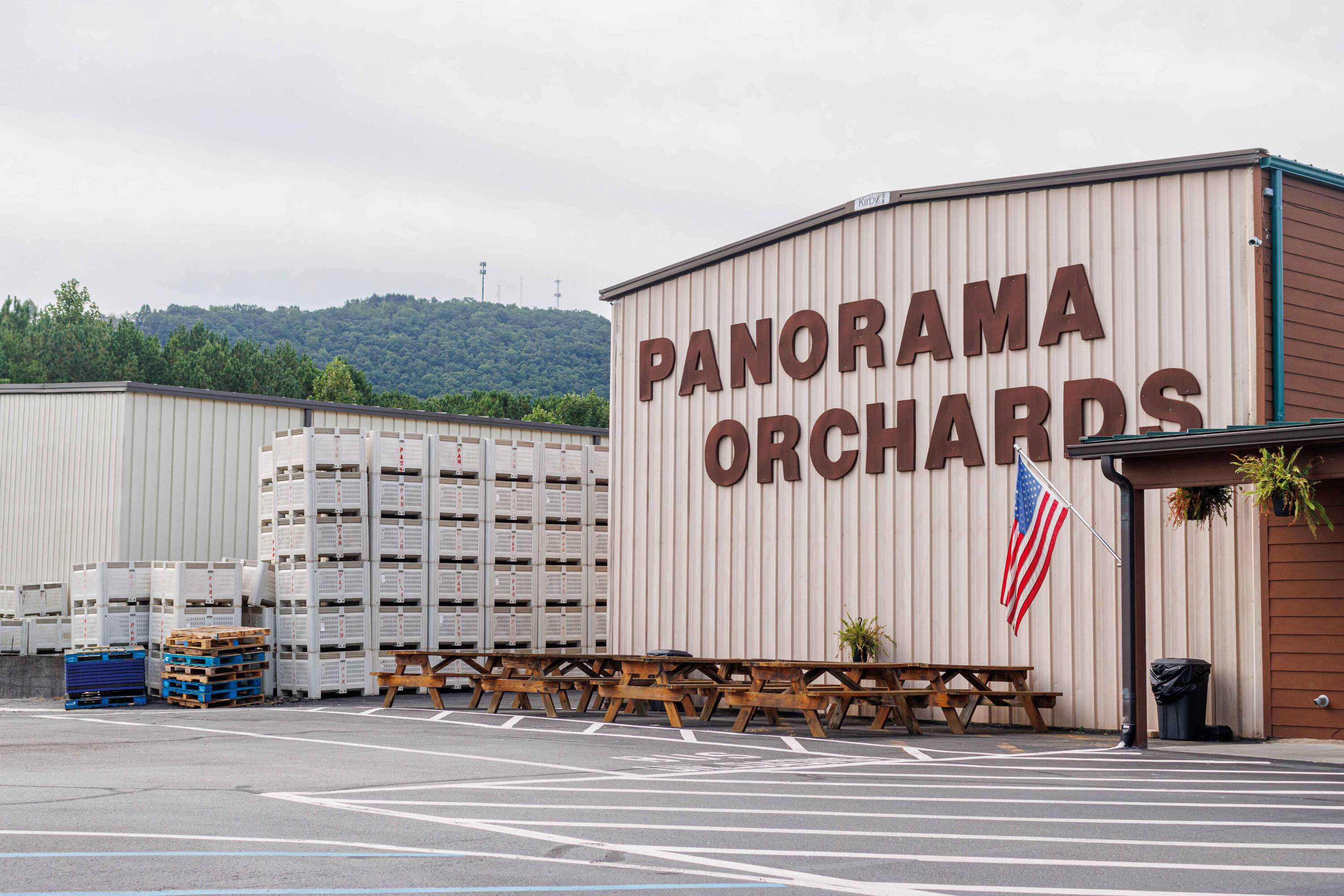 best fried apple pies in Ellijay ga